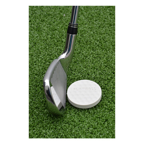 Flatball Training Aid