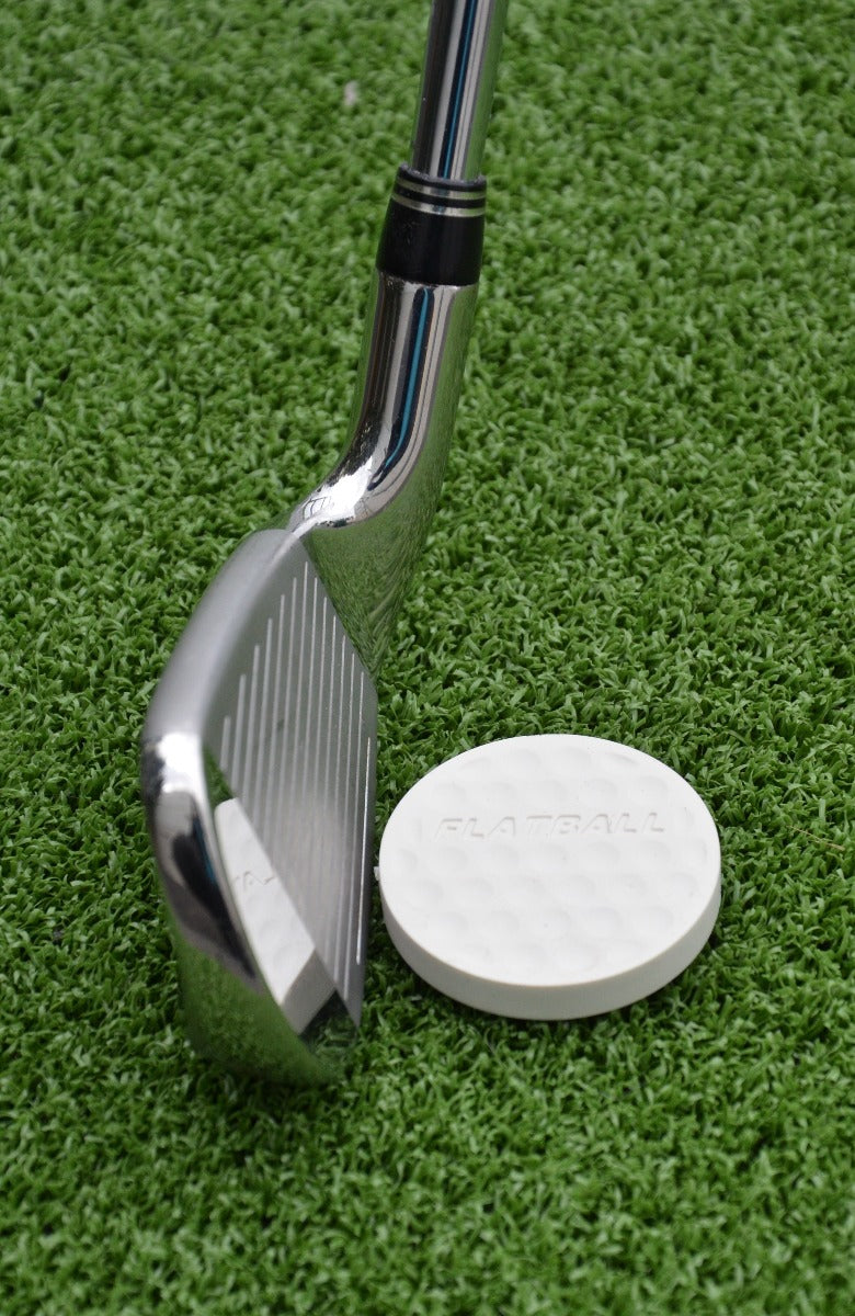 Flatball Training Aid